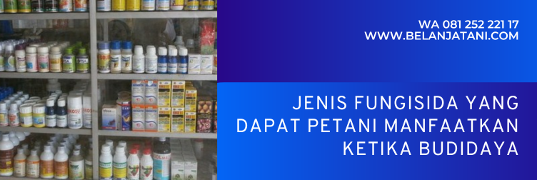 cabrio fungisida, harga cabrio 250 ec, waktu aplikasi cabrio, cabrio untuk cabe, cabrio untuk padi