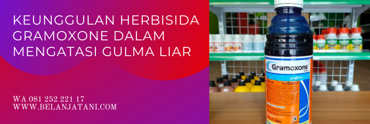 herbisida gramoxone, harga gramoxone 1 liter, gramoxone herbisida, cara pemakaian gramoxone, dosis herbisida gramoxone per tangki