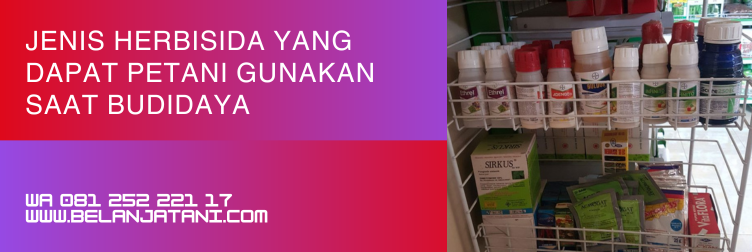 herbisida ricestar, ricestar herbisida, harga ricestar 250 ml, harga ricestar 250ml, herbisida padi paling ampuh