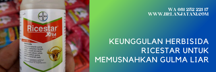 herbisida ricestar, ricestar herbisida, harga ricestar 250 ml, harga ricestar 250ml, herbisida padi paling ampuh