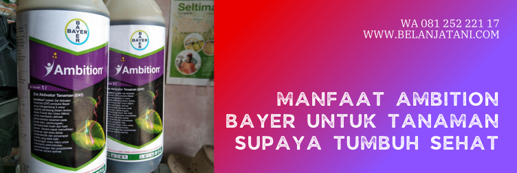 ambition bayer, kandungan ambition bayer, fungsi ambition bayer, harga ambition bayer 500 ml, cara pakai ambition bayer