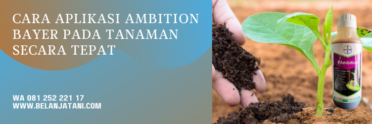 ambition bayer, kandungan ambition bayer, fungsi ambition bayer, harga ambition bayer 500 ml, cara pakai ambition bayer