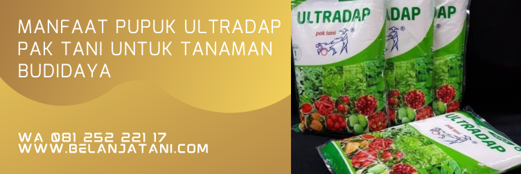 manfaat pupuk ultradap, fungsi ultradap pak tani, kandungan ultradap pak tani, manfaat ultradap, dosis pupuk ultradap, manfaat pupuk