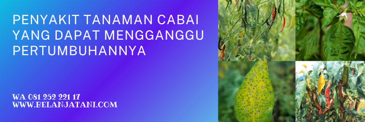zorvec encantia, bahan aktif zorvec dupont, fungisida terbaik untuk cabe, bahan aktif fungisida zorvec, keunggulan fungisida zorvec