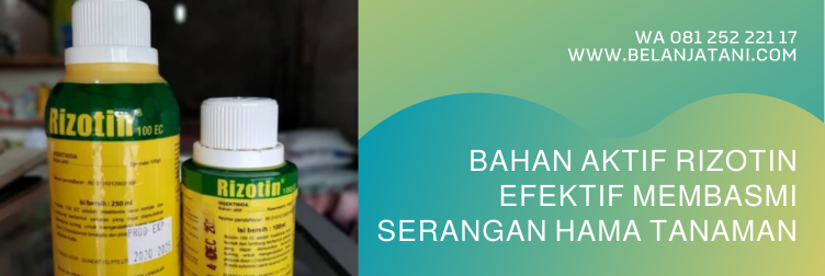 rizotin, insektisida sipermetrin, sasaran bahan aktif sipermetrin, insektisida bahan aktif sipermetrin, bahan aktif sipermetrin