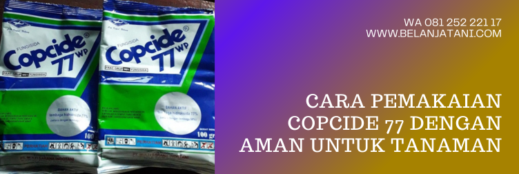 manfaat fungisida copcide 77 wp, copcide 77 wp, copcide 77, kegunaan fungisida copcide, fungisida berbahan aktif tembaga