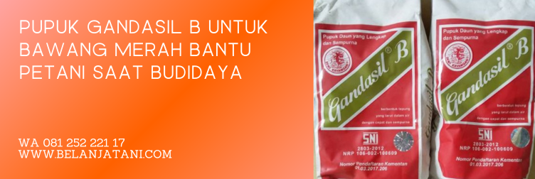 gandasil b manfaat, pupuk gandasil b, kandungan gandasil b, pupuk untuk bawang merah, cara pemupukan bawang merah