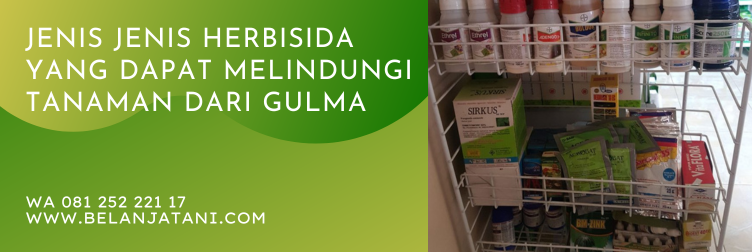 tabas, tabas herbisida, herbisida tabas untuk tanaman padi, cara penggunaan herbisida tabas, dosis herbisida tabas per tangki