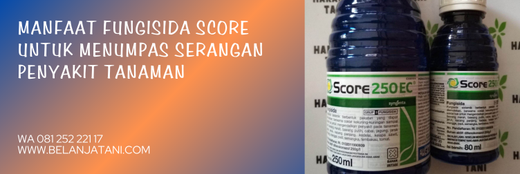 score fungisida, bahan aktif score, score 250 ec, manfaat score untuk padi, fungsi score