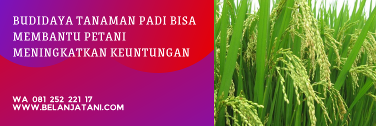 produk bayer dan fungsinya, produk bayer indonesia, produk bayer untuk pertanian, insektisida bayer, fungisida bayer