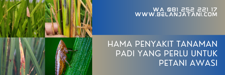 produk bayer dan fungsinya, produk bayer indonesia, produk bayer untuk pertanian, insektisida bayer, fungisida bayer