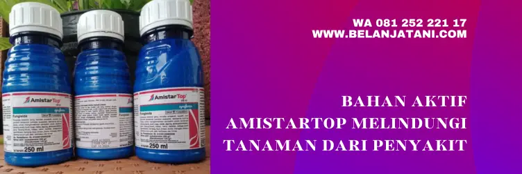 bahan aktif amistartop 250 ml, bahan aktif fungisida amistartop, fungsi amistartop, amistartop fungisida, harga amistartop