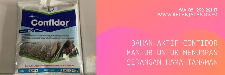 confidor, bahan aktif insektisida confidor, confidor insektisida, confidor cair, confidor 5 wp