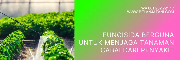 fungisida bion m, bahan aktif bion m, bion m fungisida, harga fungisida bion m, fungsi bion m