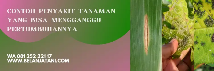 bahan aktif zorvec dupont, cara pemakaian zorvec, keunggulan fungisida zorvec, zorvec fungisida, dosis fungisida zorvec