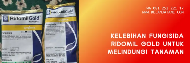 fungisida ridomil, bahan aktif ridomil gold, fungisida ridomil gold, ridomil gold fungisida, dosis dan fungsi fungisida ridomil gold yang tepat
