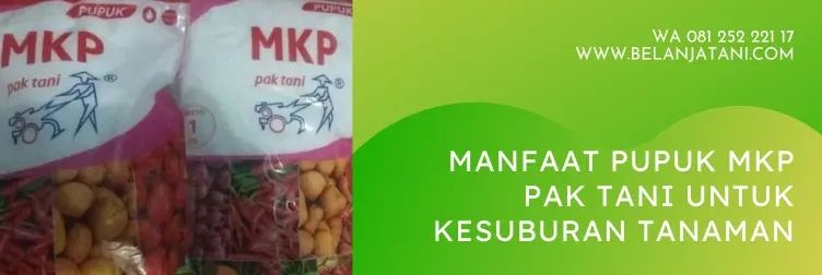 pupuk mkp pak tani, mkp pak tani, manfaat pupuk mkp, fungsi pupuk mkp pak tani, harga pupuk mkp pak tani