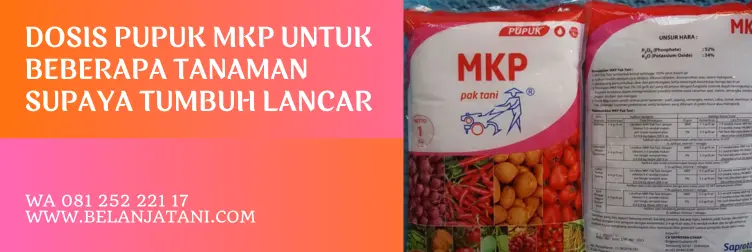 pupuk mkp pak tani, mkp pak tani, manfaat pupuk mkp, fungsi pupuk mkp pak tani, harga pupuk mkp pak tani