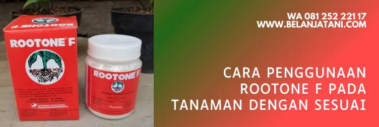 cara menggunakan rootone f, rootone, cara menggunakan perangsang akar tanaman, rootone f, zpt akar terbaik