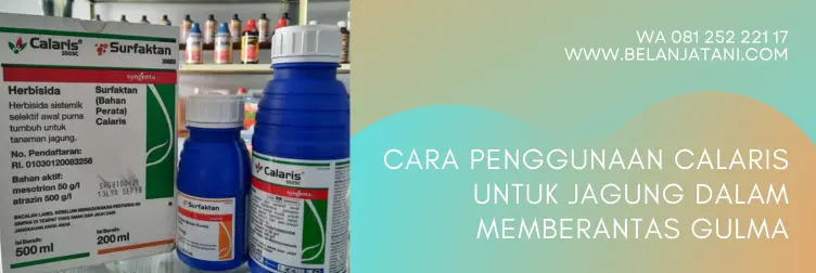 calaris, calaris herbisida, herbisida untuk jagung, dosis calaris per tangki, belanja tani
