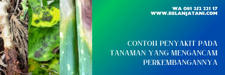 dithane fungisida, bahan aktif dithane, fungsi dithane, dosis fungisida dithane, belanja tani