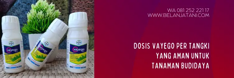 vayego bayer, dosis vayego bayer, bahan aktif vayego, vayego bahan aktif, dosis insektisida vayego