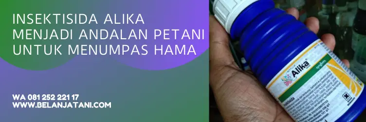 alika insektisida, bahan aktif alika, sasaran insektisida alika, insektisida alika bahan aktif, TOKO BELANJA TANI
