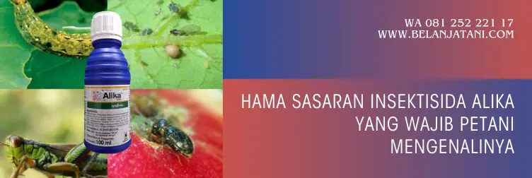 alika insektisida, bahan aktif alika, sasaran insektisida alika, insektisida alika bahan aktif, TOKO BELANJA TANI