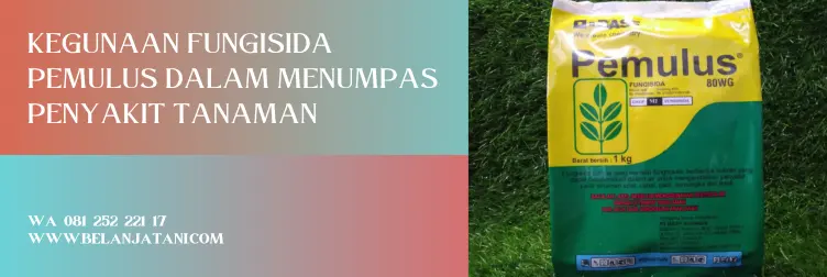 harga fungisida pemulus, pemulus produk basf, fungisida pemulus, fungisida berbahan aktif belerang, fungisida kontak terbaik