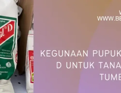 Kegunaan Pupuk Gandasil D Untuk Tanaman Agar Tumbuh Subur