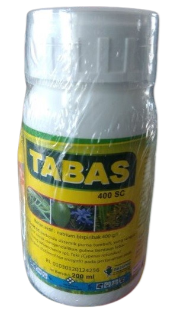 Tabas, Tabas 400 SC, Herbisida Tabas, Herbisida Tabas 400 SC, Racun Tabas, Racun Tabas 400 SC, Herbisida Tabas 400 SC, Tabas 400 SC Murah, Tabas 400 SC Terbaik, Jual Herbisida Tabas 400 SC, Jual Tabas 400 SC Terbaru, PT Deltagro, Produk Deltagro, PT Deltagro Mulia Sejati, Belanja Tani