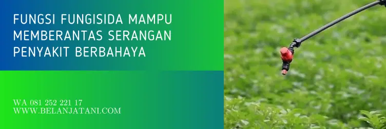 bion m, bion m bahan aktif, fungisida bahan aktif mankozeb, bion m fungisida, BELANJA TANI