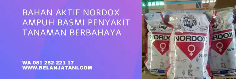 nordox, nordox fungisida, bahan aktif fungisida nordox, cara penggunaan nordox, BELANJA TANI