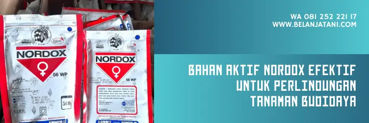 nordox, nordox fungisida, bahan aktif fungisida nordox, cara penggunaan nordox, BELANJA TANI