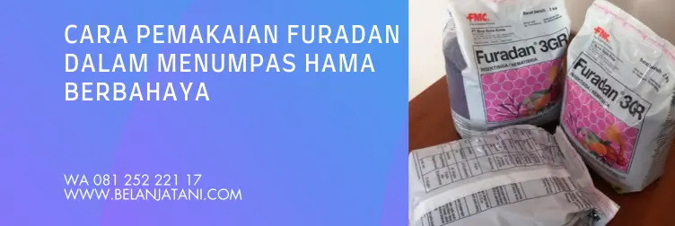 furadan, cara memakai furadan, cara penggunaan furadan, cara pakai furadan, BELANJA TANI