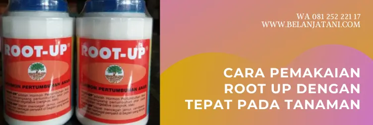 Jual ZPT Root Up Harga Murah Berkualitas Terbaik | Belanja Tani root up penumbuh akar, cara penggunaan root up, cara menggunakan root up, perangsang akar tanaman root up, BELANJA TANI