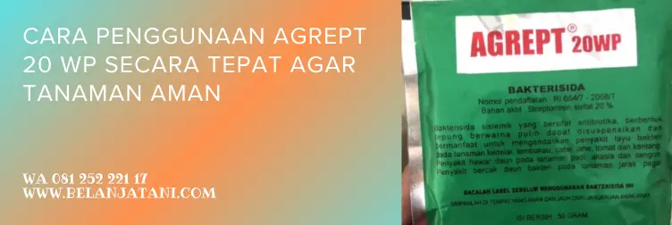 agrept 20 wp, fungisida agrept, cara aplikasi bakterisida agrept, bakterisida agrept 20wp, BELANJA TANI