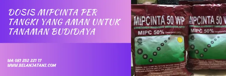 mipcinta, mipcinta 50 wp, dosis mipcinta per liter, obat walang sangit sistemik, BELANJA TANI