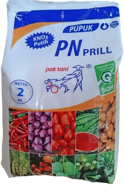 KNO3, KNO3 Putih, Pupuk PN Prill, Pupuk KNO3 Putih, KNO3 2 Kg, Pupuk KNO3 Pak Tani, Pupuk KNO3 Cap Traktor, Pupuk KNO3, Pupuk Daun KNO3 Terbaru, Harga Pupuk KNO3, KNO3 Murah Terbaik, Jual Pupuk KNO3, Pupuk KNO3 Murah, Pupuk KNO3 Terbaik, Pupuk Buah KNO3 Terbaik, Pupuk Majemuk KNO3, Pupuk Daun KNO3 Terbaru, Cara Menggunakan Pupuk KNO3, Cara Pakai Pupuk KNO3, Jual Pupuk KNO3 Murah, Pupuk Daun KNO3 Murah, Dosis Pemakaian Pupuk KNO3 Terbaik, KNO3 Adalah, Pupuk KNO3 Adalah, Pupuk Daun Terbaik, KNO3 Pupuk, Manfaat Pupuk KNO3, Saprotan Utama, CV Saprotan Utama, Produk Saprotan Utama, Belanja Tani