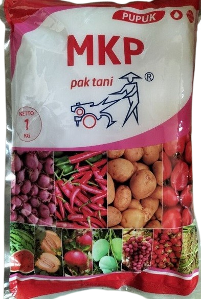 MKP, MKP 1 Kg, Pupuk MKP Pak Tani, Pupuk MKP Cap Traktor, Pupuk MKP, Pupuk Daun MKP Terbaru, Harga Pupuk MKP, MKP Murah Terbaik, Jual Pupuk MKP, Pupuk MKP Murah, Pupuk MKP Terbaik, Pupuk Buah MKP Terbaik, Pupuk Majemuk MKP, Pupuk Daun MKP Terbaru, Cara Menggunakan Pupuk MKP, Cara Pakai Pupuk MKP, Jual Pupuk MKP Murah, Pupuk Daun MKP Murah, Dosis Pemakaian Pupuk MKP Terbaik, MKP Adalah, Pupuk MKP Adalah, Pupuk Daun Terbaik, MKP Pupuk, Manfaat Pupuk MKP, Saprotan Utama, CV Saprotan Utama, Produk Saprotan Utama, Belanja Tani