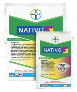 Fungisida Nativo, Fungisida Nativo 75 WG, Nativo Bayer, Bayer Indonesia, Jual Fungisida Nativo, Belaja Tani