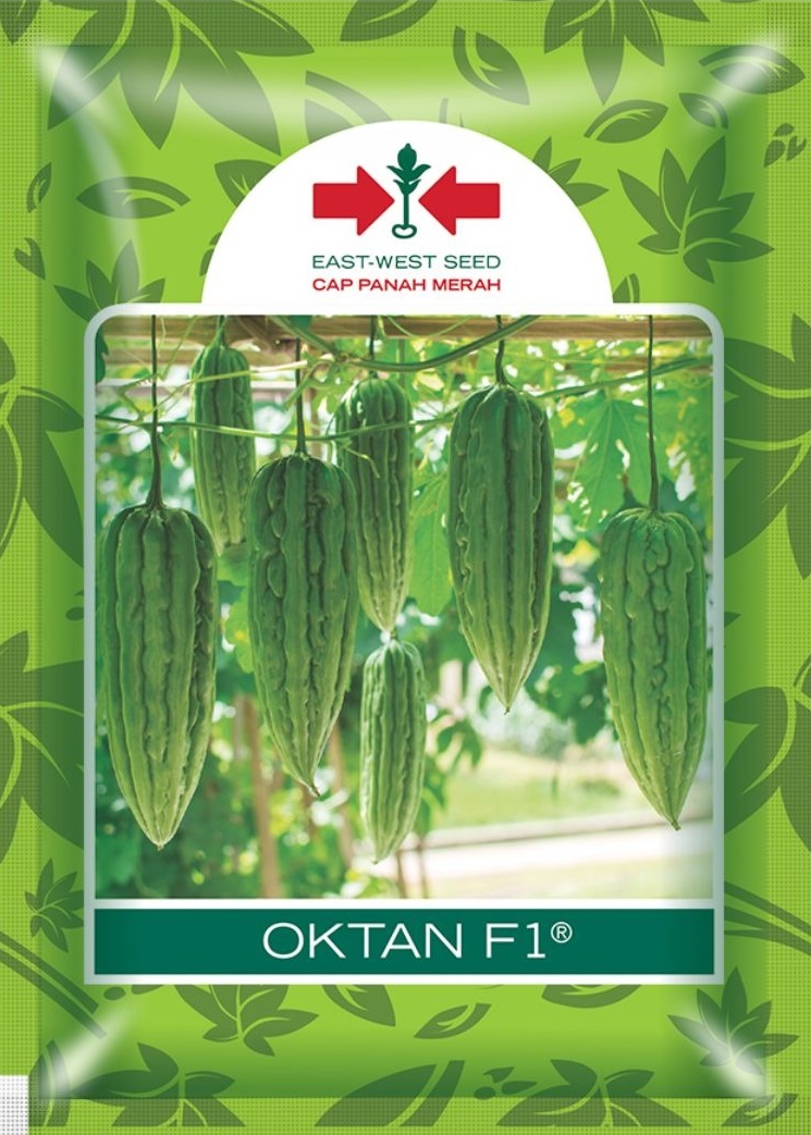 Pare Oktan, Pare Oktan Murah, Pare Oktan F1, Cara Menanam Pare Oktan, Tanaman Pare Oktan, Pare Oktan Hibrida, Pare Oktan Terbaik, Beli Pare Oktan, Jual Pare Oktan, Jual Pare Oktan Terbaik, Jual Pare Oktan Terbaru, Benih Pare Oktan Murah, Cap Panah Merah, Belanja Tani