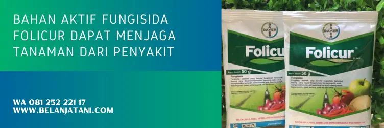 folicur, folicur fungisida, bahan aktif folicur, manfaat fungisida folicur, BELANJA TANI