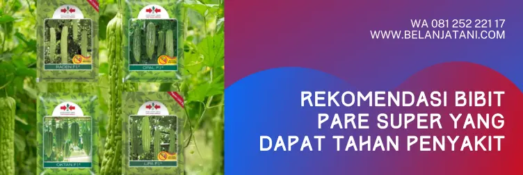 bibit pare, harga bibit pare, bibit pare yang bagus, bibit pare unggul, BELANJA TANI