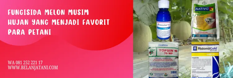 fungisida musim hujan, fungisida melon, fungisida untuk tanaman melon, fungisida untuk musim hujan, BELANJA TANI