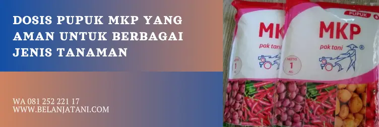 mkp pak tani, pupuk mkp pak tani, harga pupuk mkp, harga pupuk mkp pak tani, BELANJA TANI
