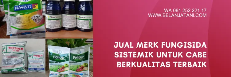 fungisida sistemik, fungisida sistemik untuk cabai, fungisida sistemik untuk cabe, merek dagang fungisida sistemik, BELANJA TANI