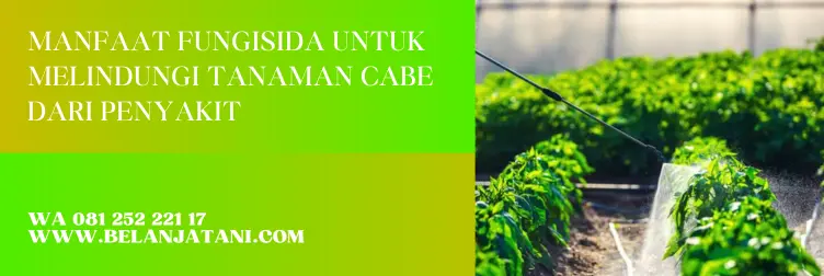 fungisida sistemik, fungisida sistemik untuk cabai, fungisida sistemik untuk cabe, merek dagang fungisida sistemik, BELANJA TANI