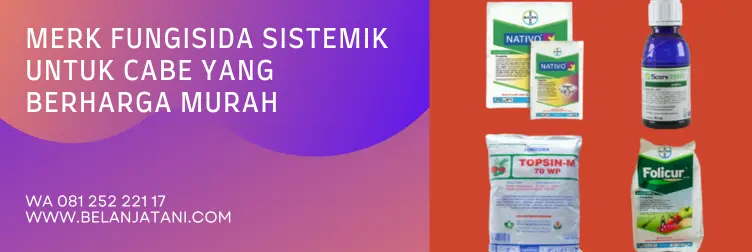 fungisida sistemik, fungisida sistemik untuk cabai, fungisida sistemik untuk cabe, merek dagang fungisida sistemik, BELANJA TANI