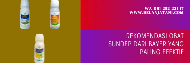 daftar obat sundep, obat sundep padi, obat sundep sistemik, jenis obat sundep yang paling ampuh, BELANJA TANI